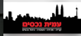 עמית נכסים